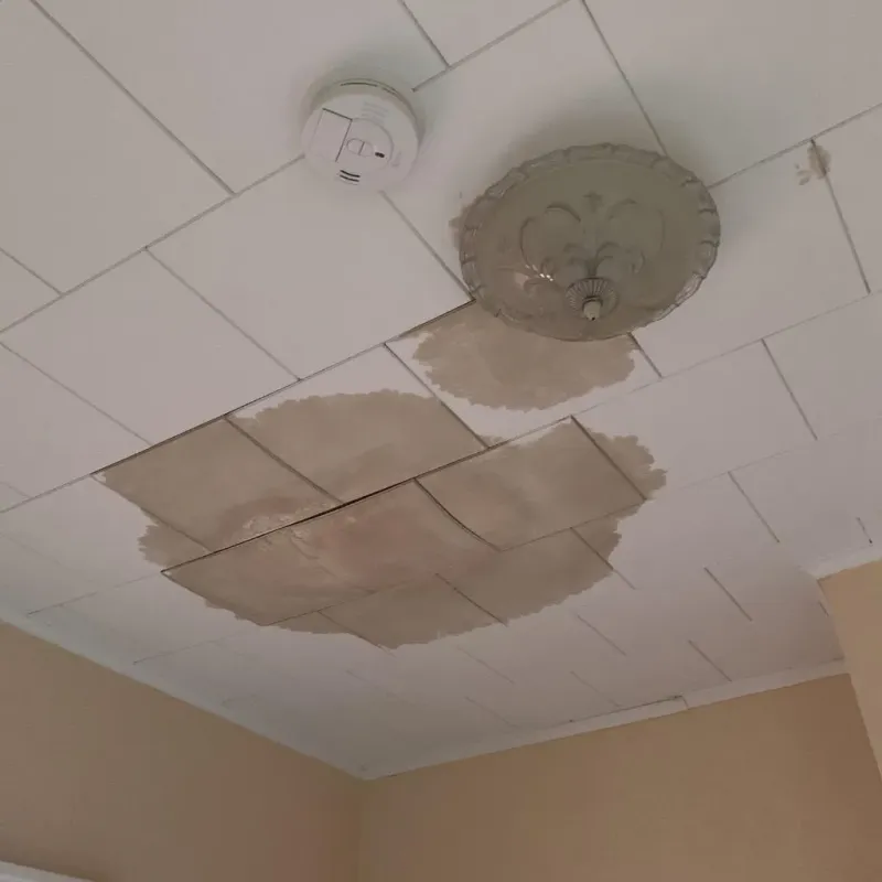 Ceiling Water Damage Repair in Hunterdon County, NJ