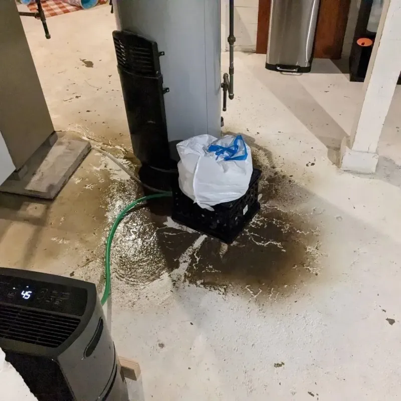 Sewage Backup Cleanup Service in Hunterdon County, NJ